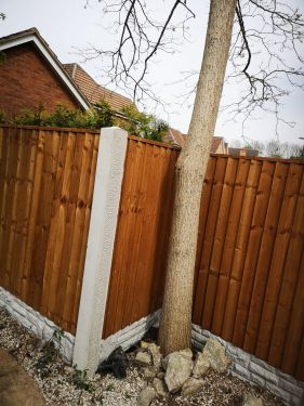 Click Here To Enlarge This Photo Of Fencing Nottingham
