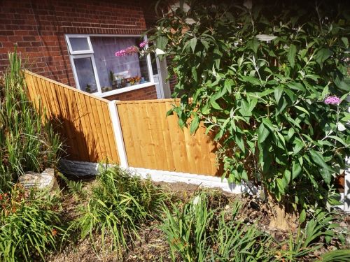 Click Here To Enlarge This Photo Of Fence