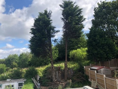 Click Here To Enlarge This Photo Of Full landscape 